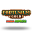 Fortunium Gold Mega Moolah