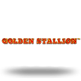 Golden Stallion