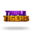Triple Tigers