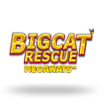 Big Cat Rescue MegaWays icon