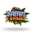 Safari Spins