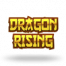 Dragon Rising