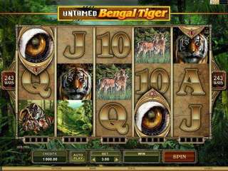 Untamed Bengal Tiger