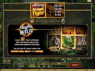 Untamed Bengal Tiger