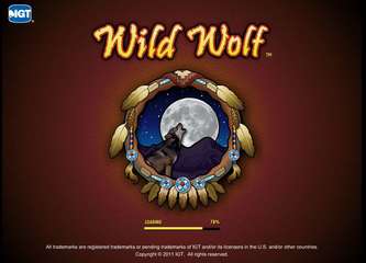 Wild Wolf