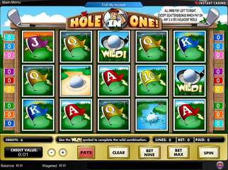 Hole in One