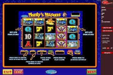 Montys Millions