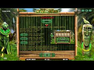 Treasure Of Shaman