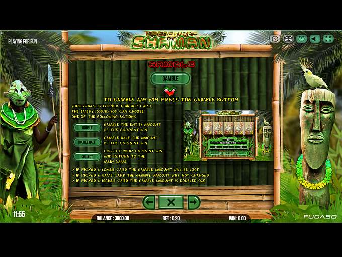 Treasure Of Shaman