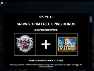 9k Yeti
