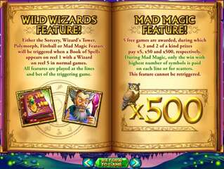 Wild Wizards
