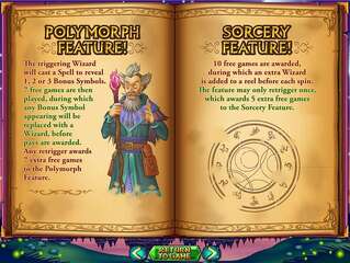 Wild Wizards