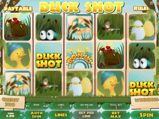 Duck Shot