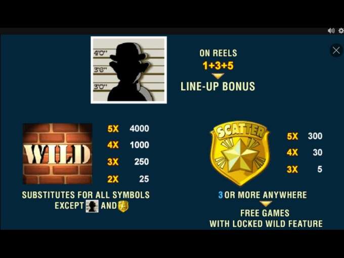 Cops and Bandits