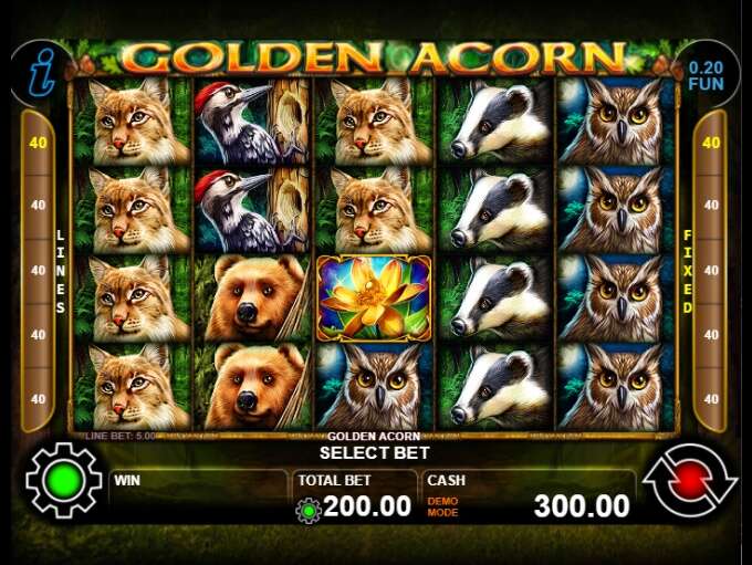 Golden Acorn Slot review from CT Interactive