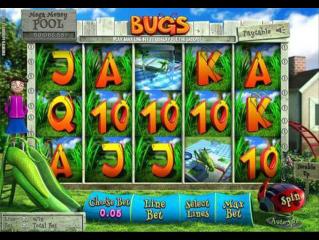 Bugs