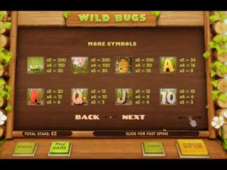 Wild Bugs