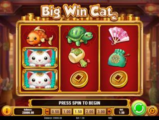 Big Win Cat