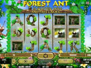 Forest Ant
