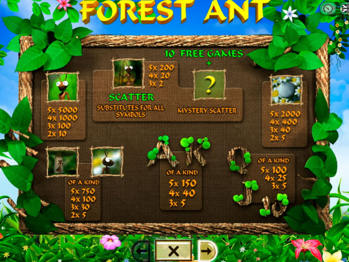 Forest Ant