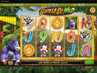 Gorilla Go Wild