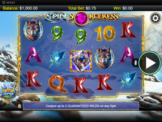 Spin Sorceress