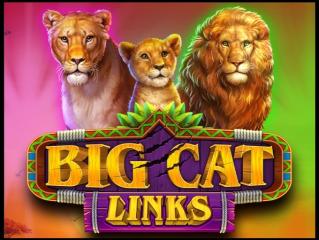 Big Cat Links
