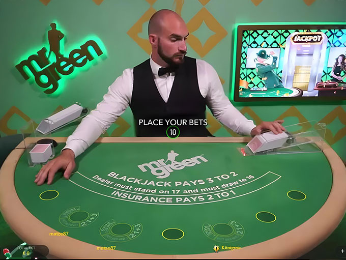 Mr. Green Deutsches Blackjack