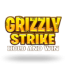 Grizzly Strike - Hold and Win
