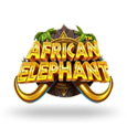 African Elephant