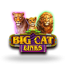 Big Cat Links