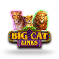 Slots Plus