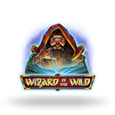Wizard of the Wild