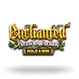 Enchanted Forest of Fortune