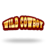 Wild Cowboy