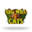Big Wild Cats