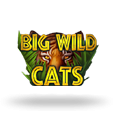 Big Wild Cats
