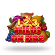 1-2-3 Wilds on Fire icon