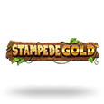 Stampede Gold icon