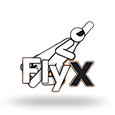 FlyX