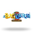 Big Catch Hold and Win