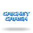 Cricket Crash