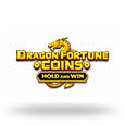 Dragon Fortune Coins: Hold & Win