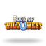 Book of Wild West