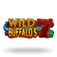 Wild Buffalos 7s