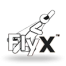 FlyX
