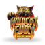 Wildcat Fury