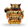 Wildcat Fury