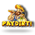 Pay Dirt