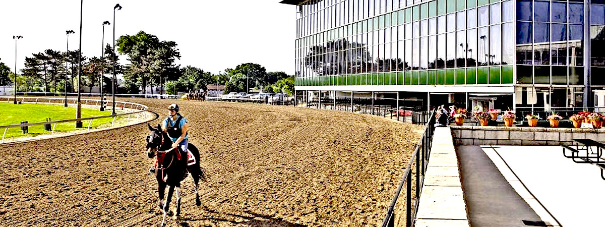 Hazel Park Harness Raceway review and player feedback